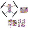 Protective Waterproof PVC Stickers for Mavic Air 2 PAINTING ART IMG1